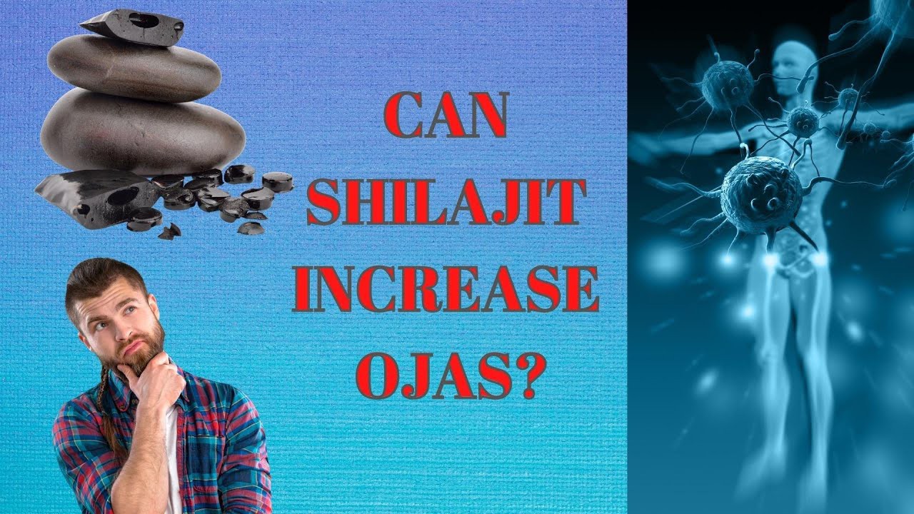 Shilajit-Extract