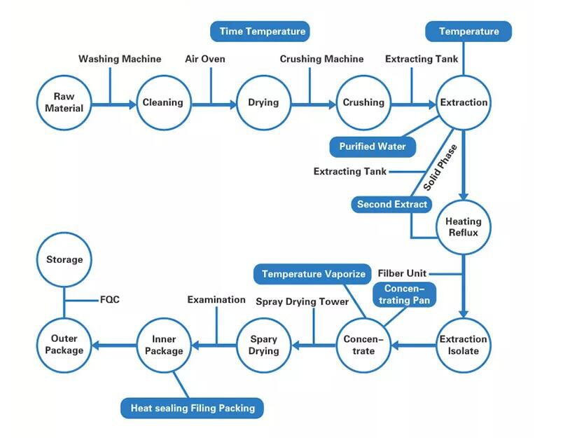 Artichoke-Extract-Powder-flow-chart Artichoke-Extract-Powder-flow-chart
