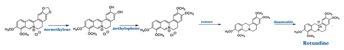 Rotundine.jpg Rotundine.jpg