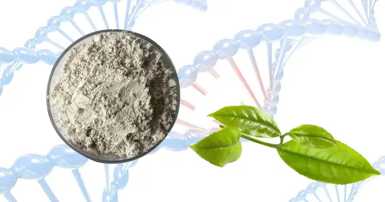 extract-EGCG-powder.gif extract-EGCG-powder.gif