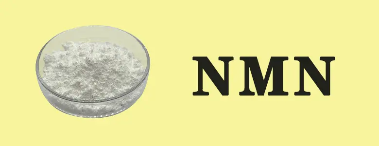 NMN.gif