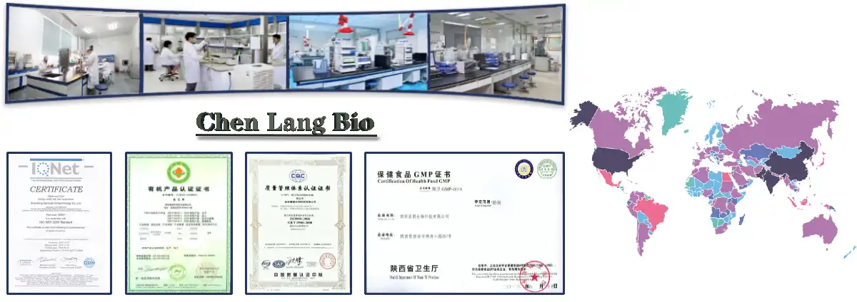 certification32.jpg certification32.jpg