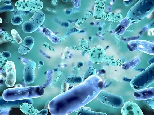 Probiotics-Powder-for-sale