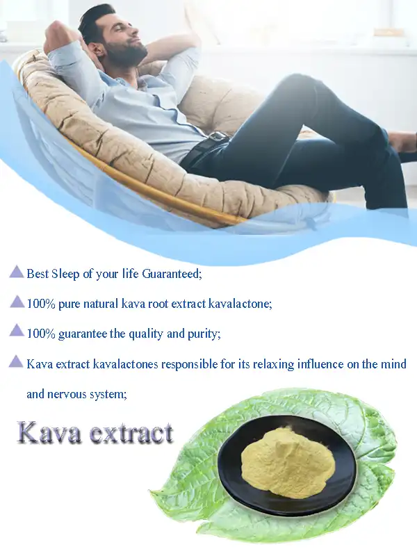 kava-extract-powder kava-extract-powder