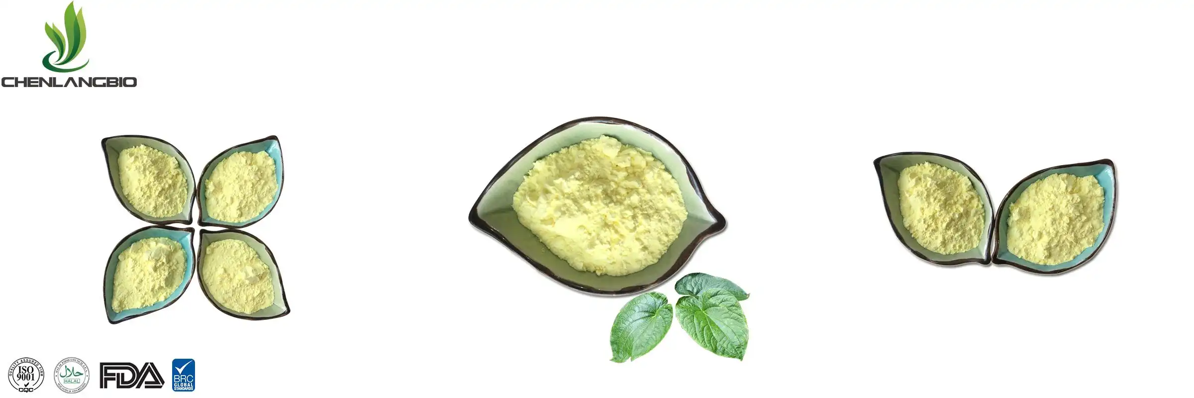 kava-extract-powder-supplier kava-extract-powder-supplier