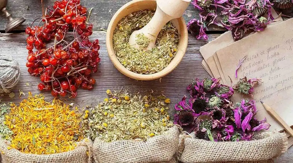 Paeoniflorin-80 Paeoniflorin-80