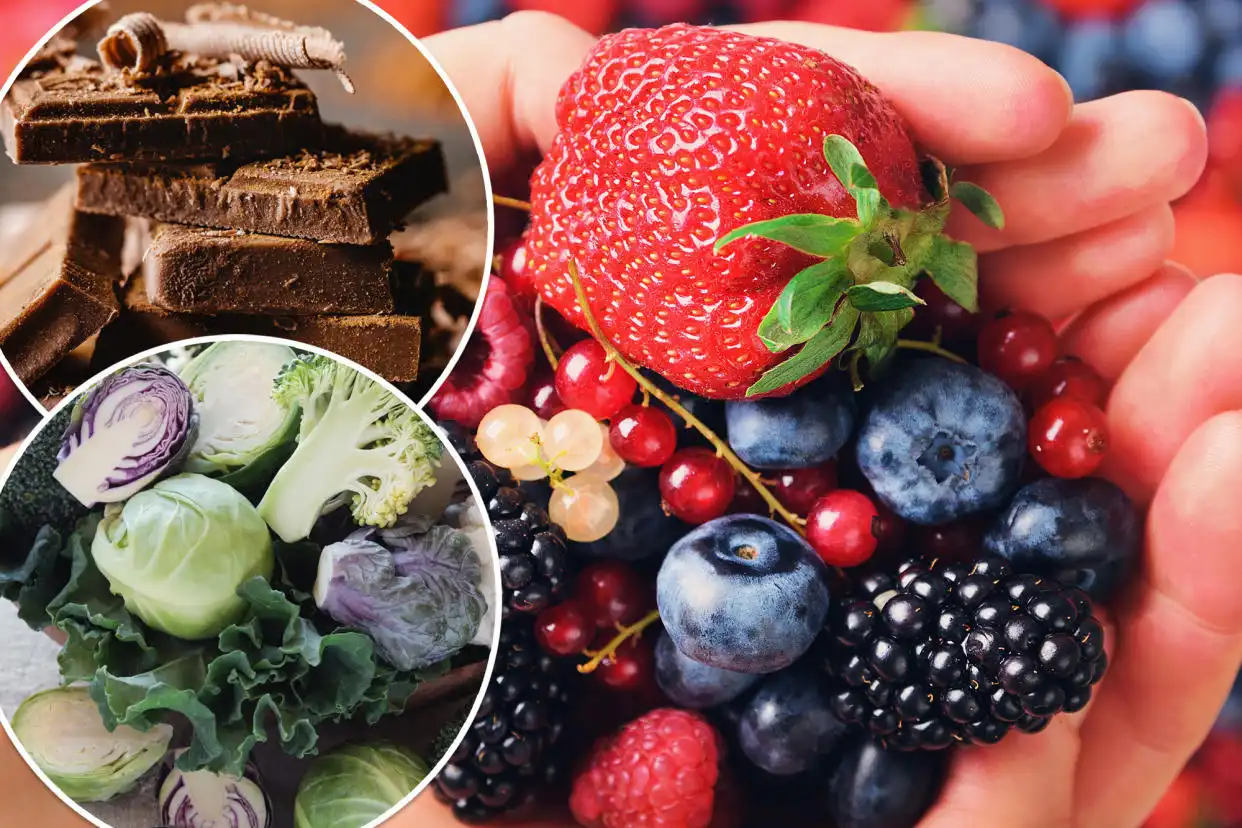 fisetin-powder-anti-aging fisetin-powder-anti-aging