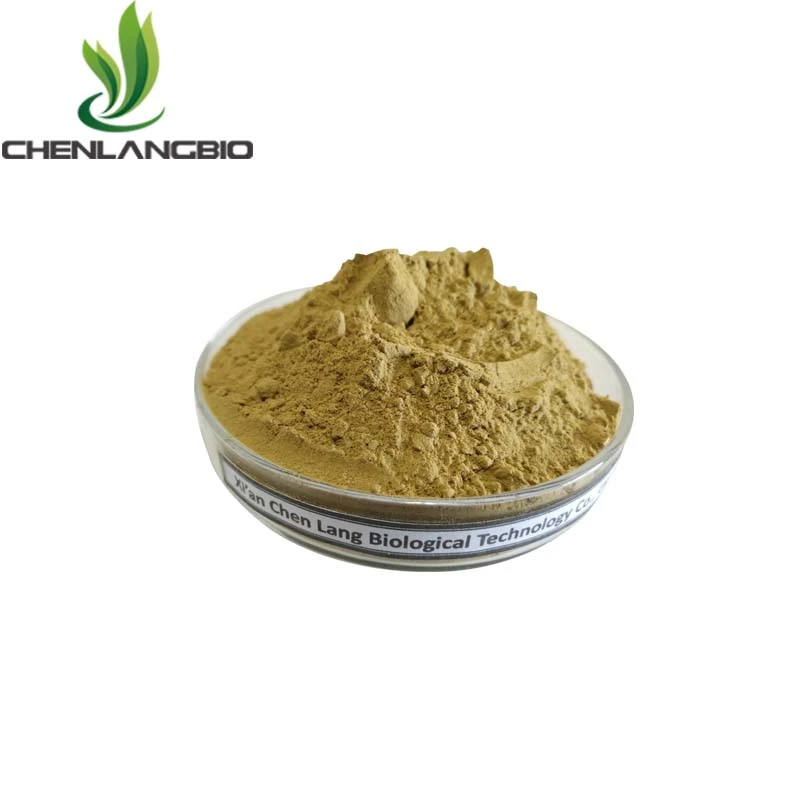 Willow-Bark-Extract-Salicin Willow-Bark-Extract-Salicin