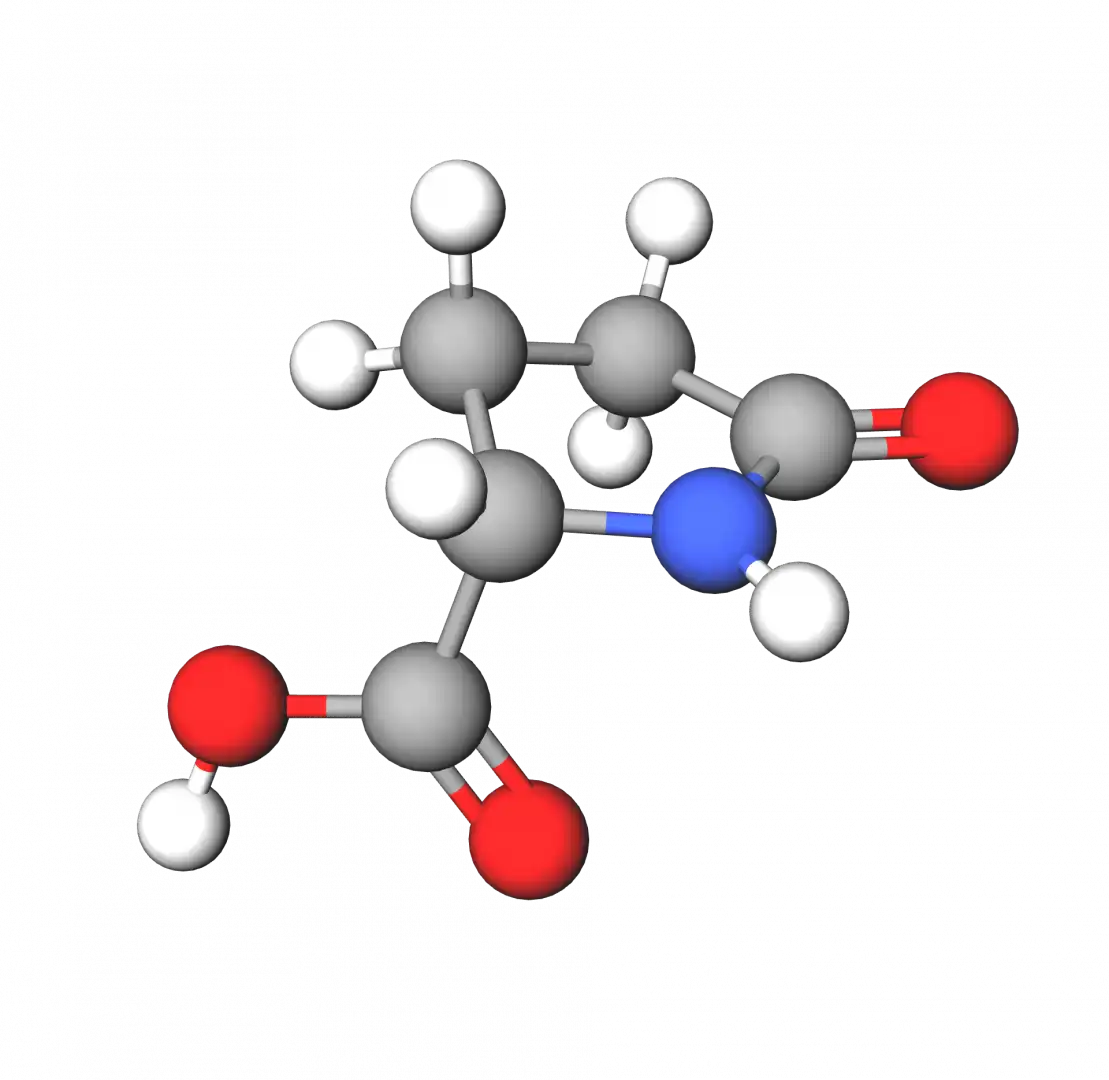 Copper-pyrrolidone-carboxylate-structure Copper-pyrrolidone-carboxylate-structure