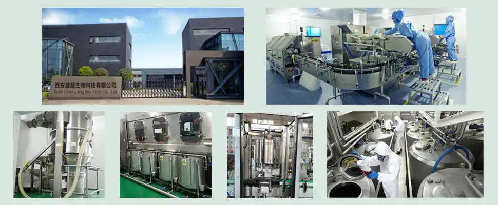  3-O-ethyl Ascorbic-Acid-factory