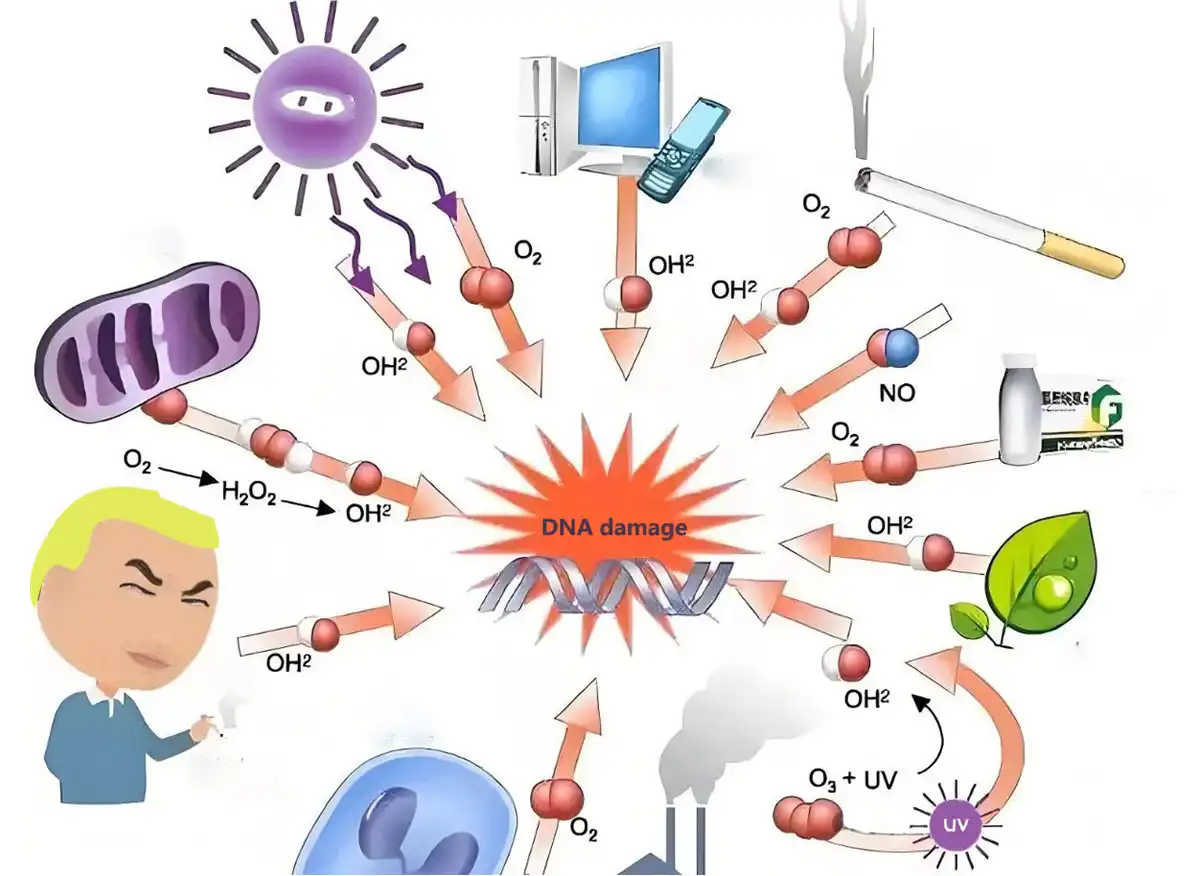 product-1-1 product-1-1