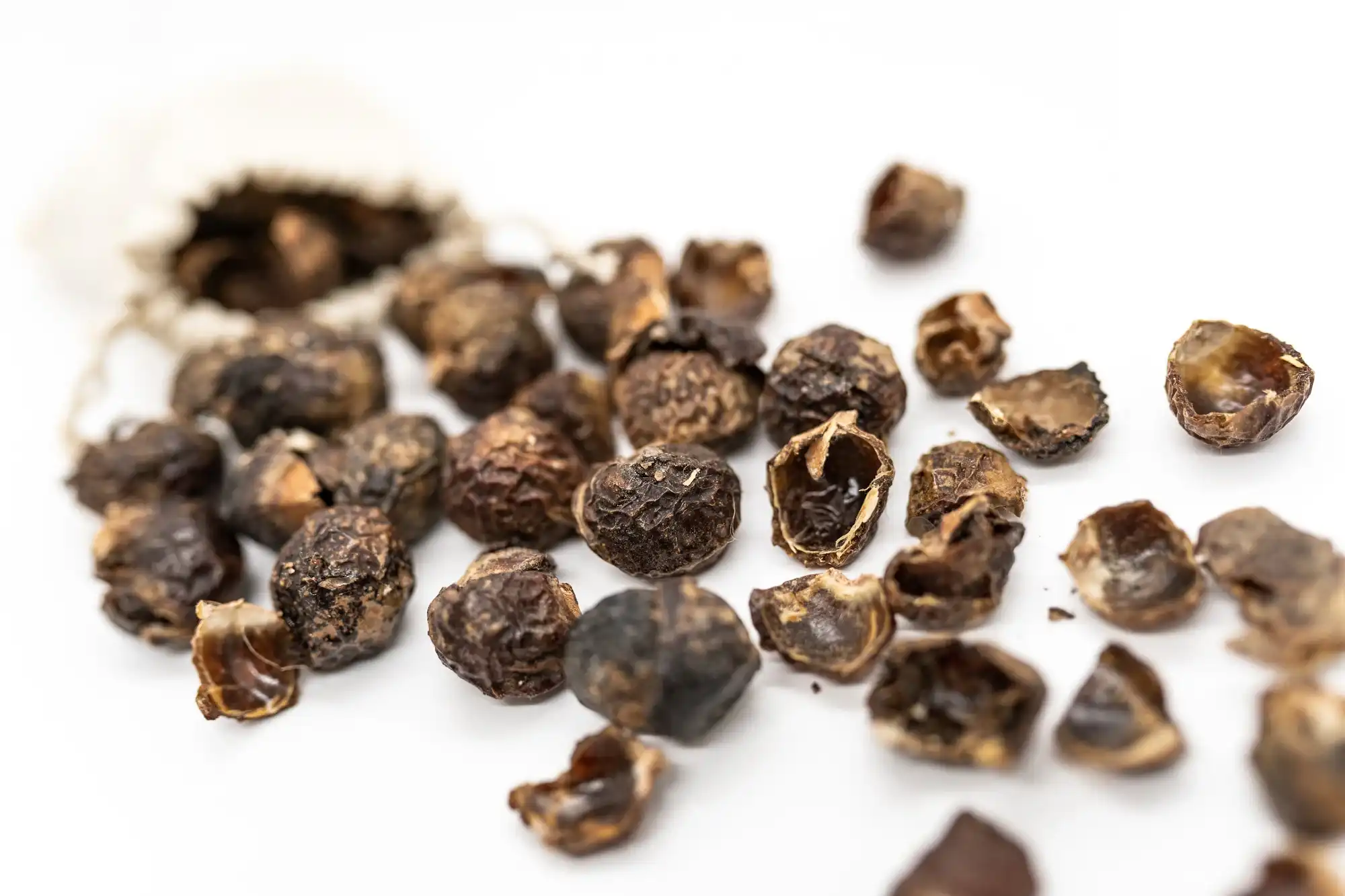 Soapnut Extract Powder: Benefits and Uses Soapnut Extract Powder: Benefits and Uses