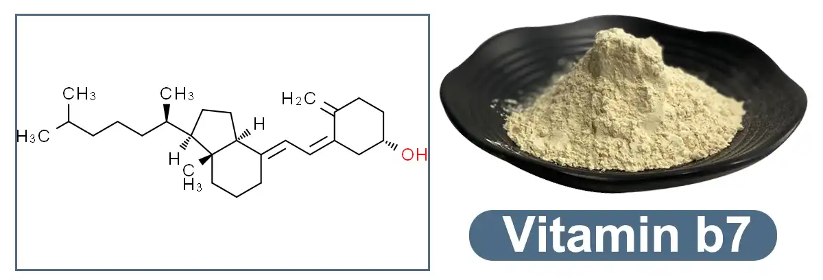 product-1-1 product-1-1