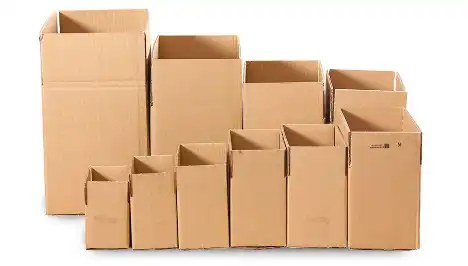 product-1-1 product-1-1