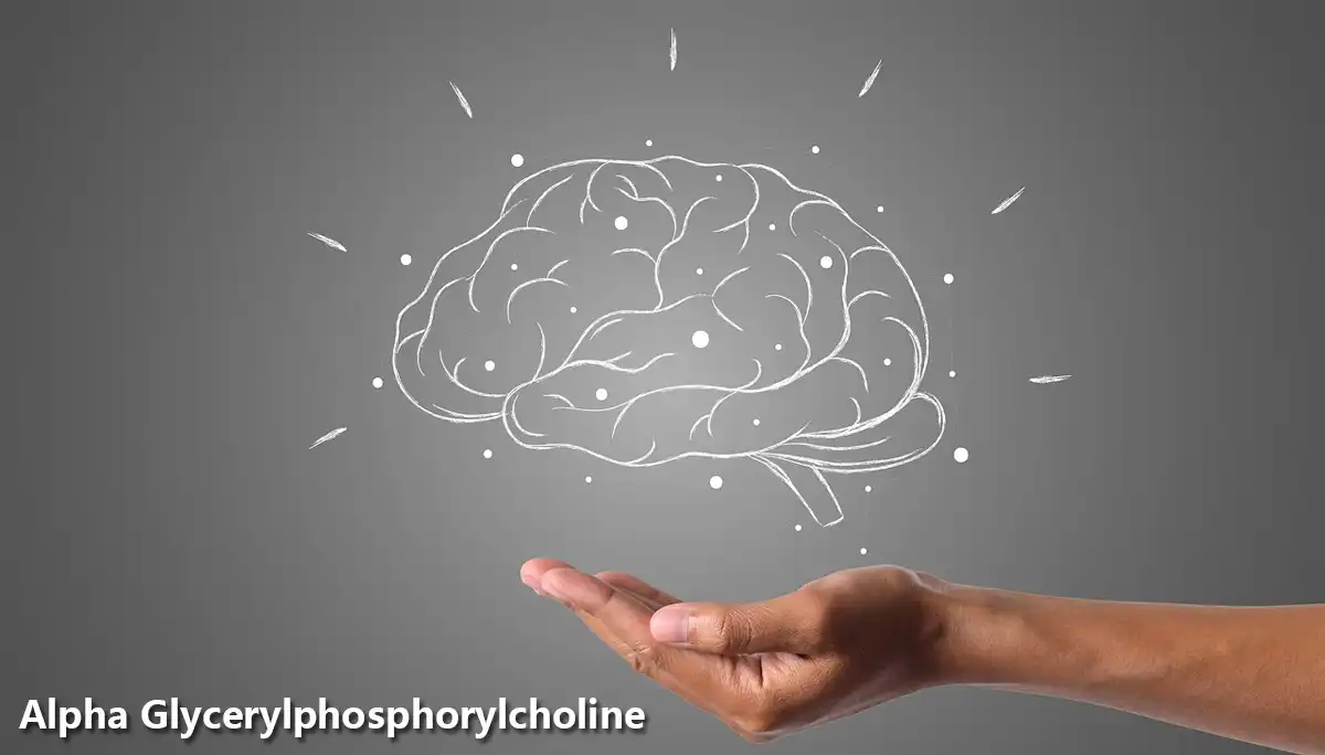 product-1-1 product-1-1