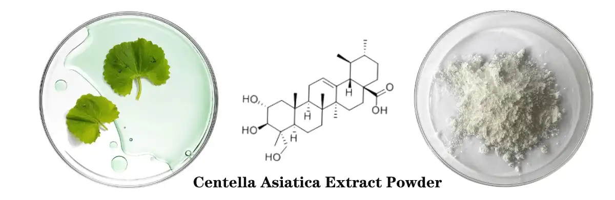 Centella-Asiatica- Extract-Powder Centella-Asiatica- Extract-Powder