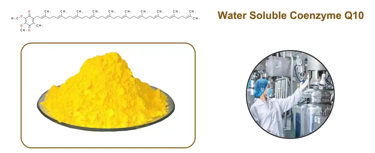 product-1-1 product-1-1