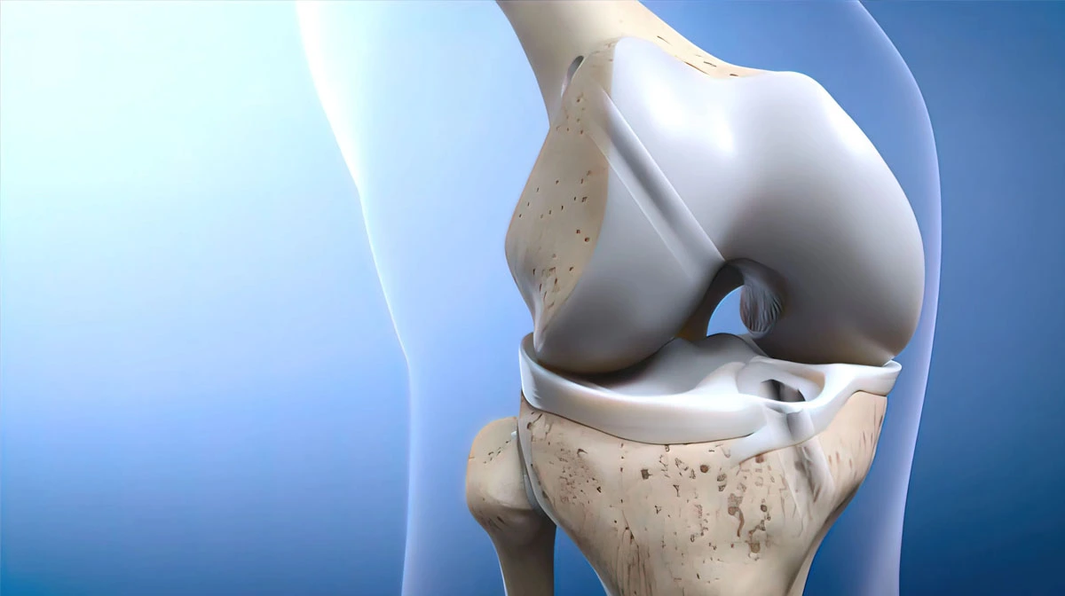 product-1-1 product-1-1