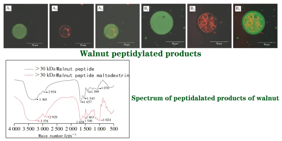 product-1-1 product-1-1