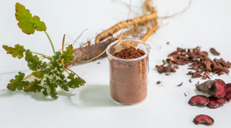 Pelargonium-Sidoides-is-Popular-in-Herbal-Medicine Pelargonium-Sidoides-is-Popular-in-Herbal-Medicine