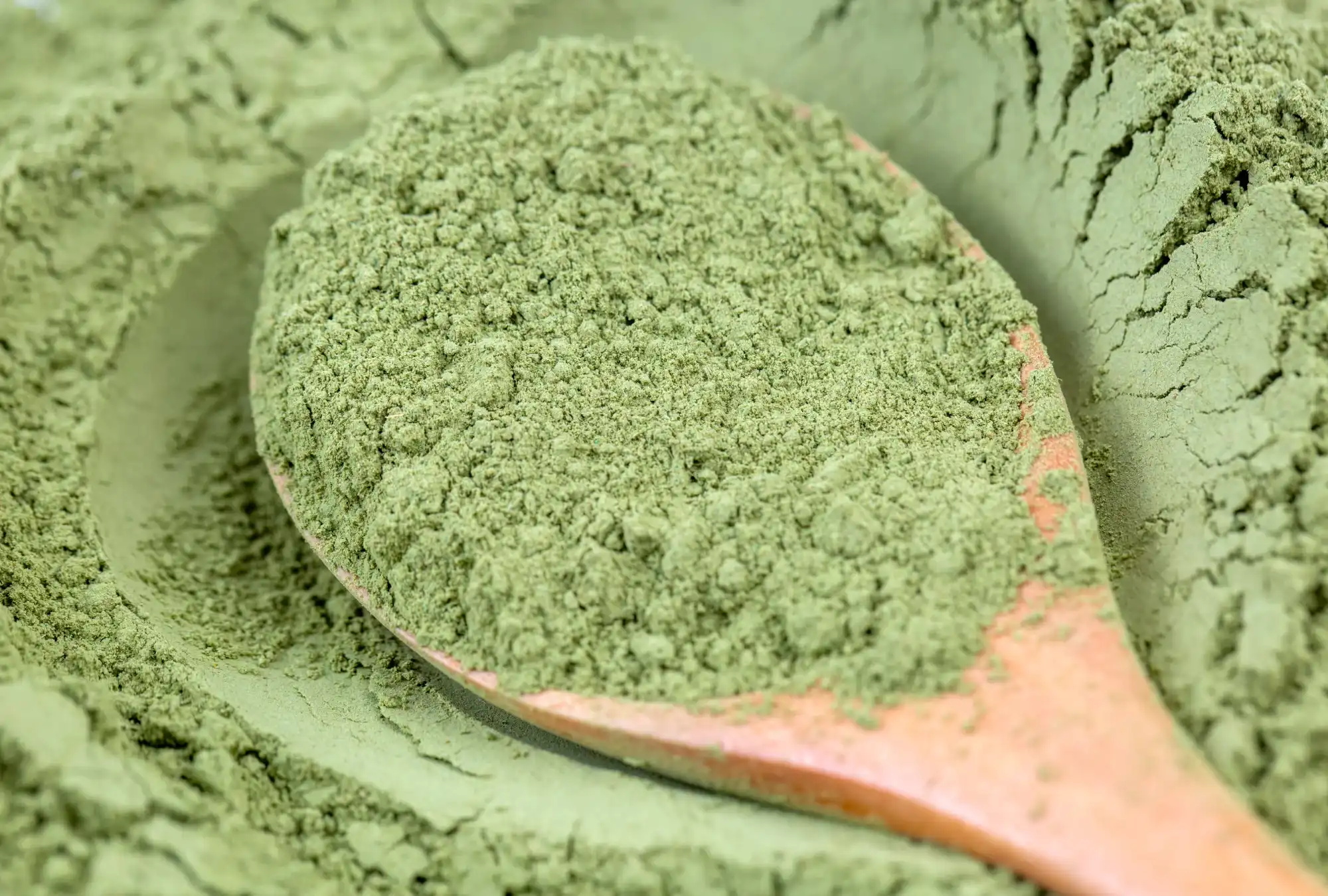 broccoli-extract-sulforaphane-supplier broccoli-extract-sulforaphane-supplier