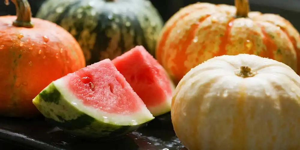 L-Citrulline-powder-manufacturer L-Citrulline-powder-manufacturer