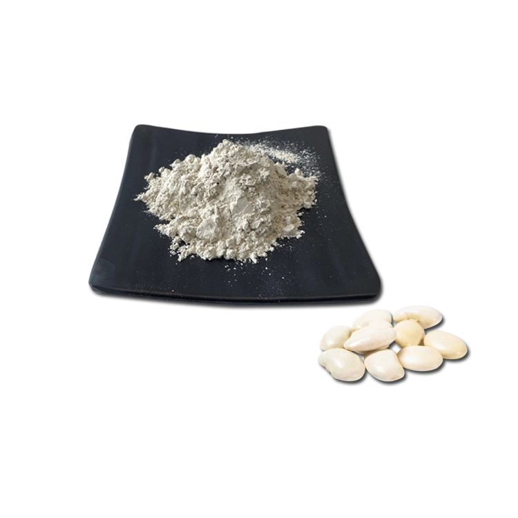 White-Kidney-Bean-Extract-powder