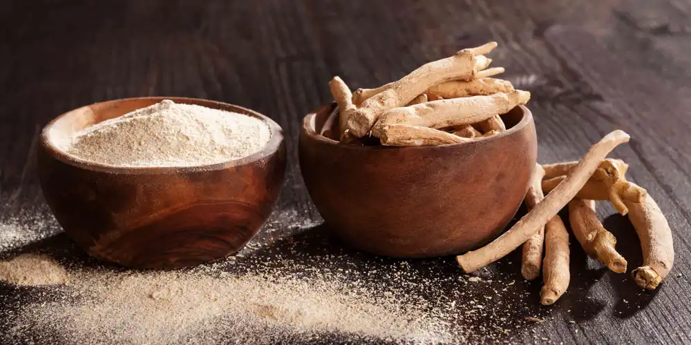 Ashwagandha-Extract-powder