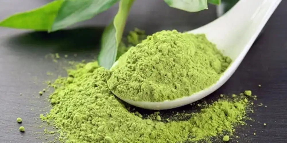 Myricetin: A Natural Antioxidant Myricetin: A Natural Antioxidant