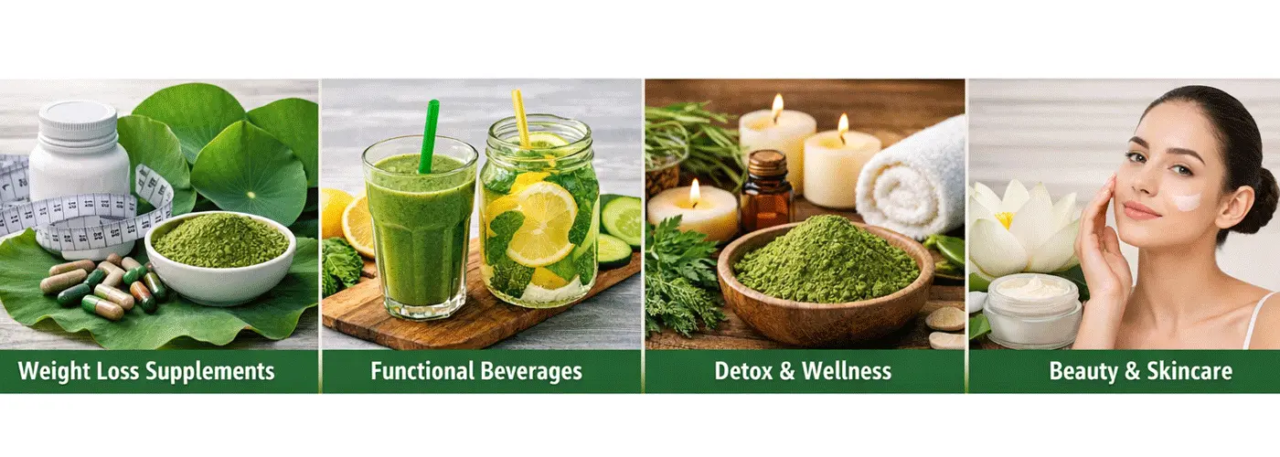 Lotus-Leaf-Extract-Powder-Benefits Lotus-Leaf-Extract-Powder-Benefits