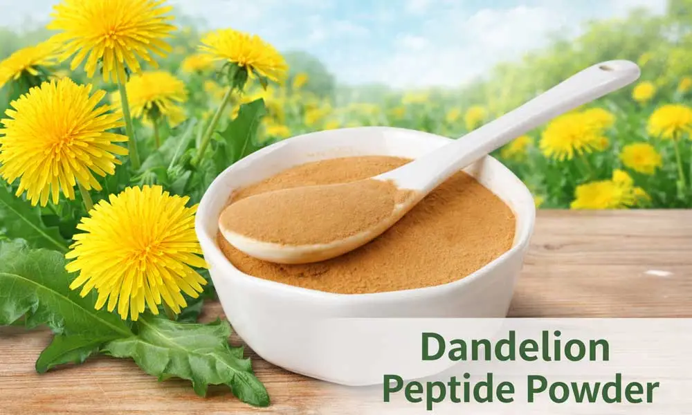 dandelion-peptide-powder-supplier