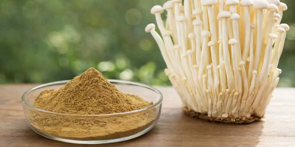 Flammulina-Velutipes-Extract Flammulina-Velutipes-Extract