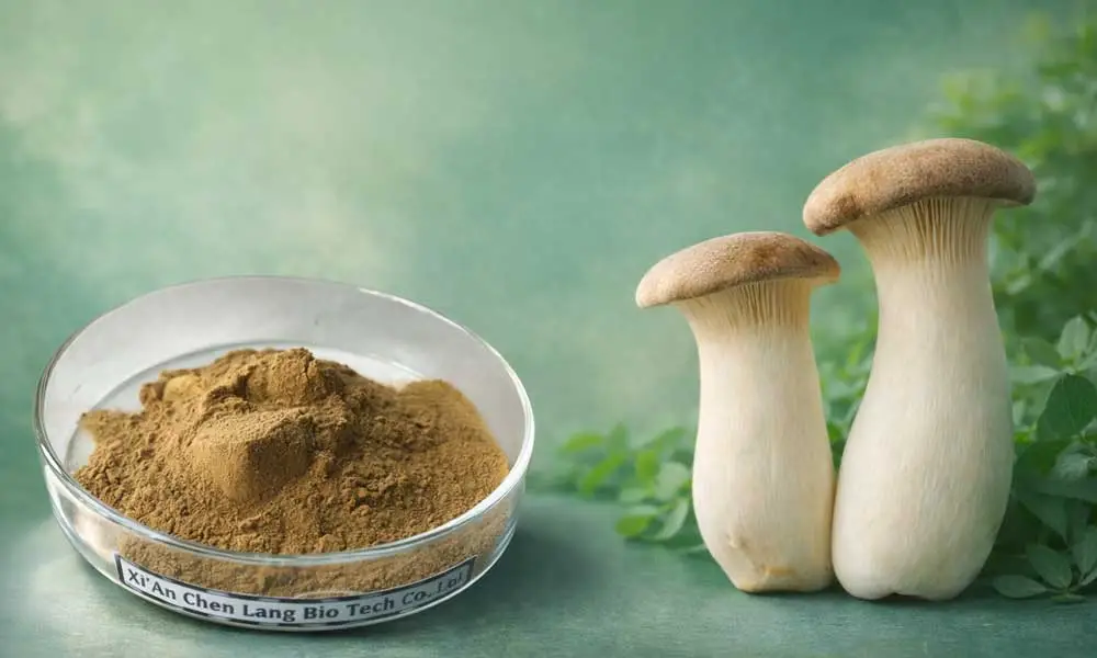 Pleurotus-Eryngii-Extract-Manufacturer