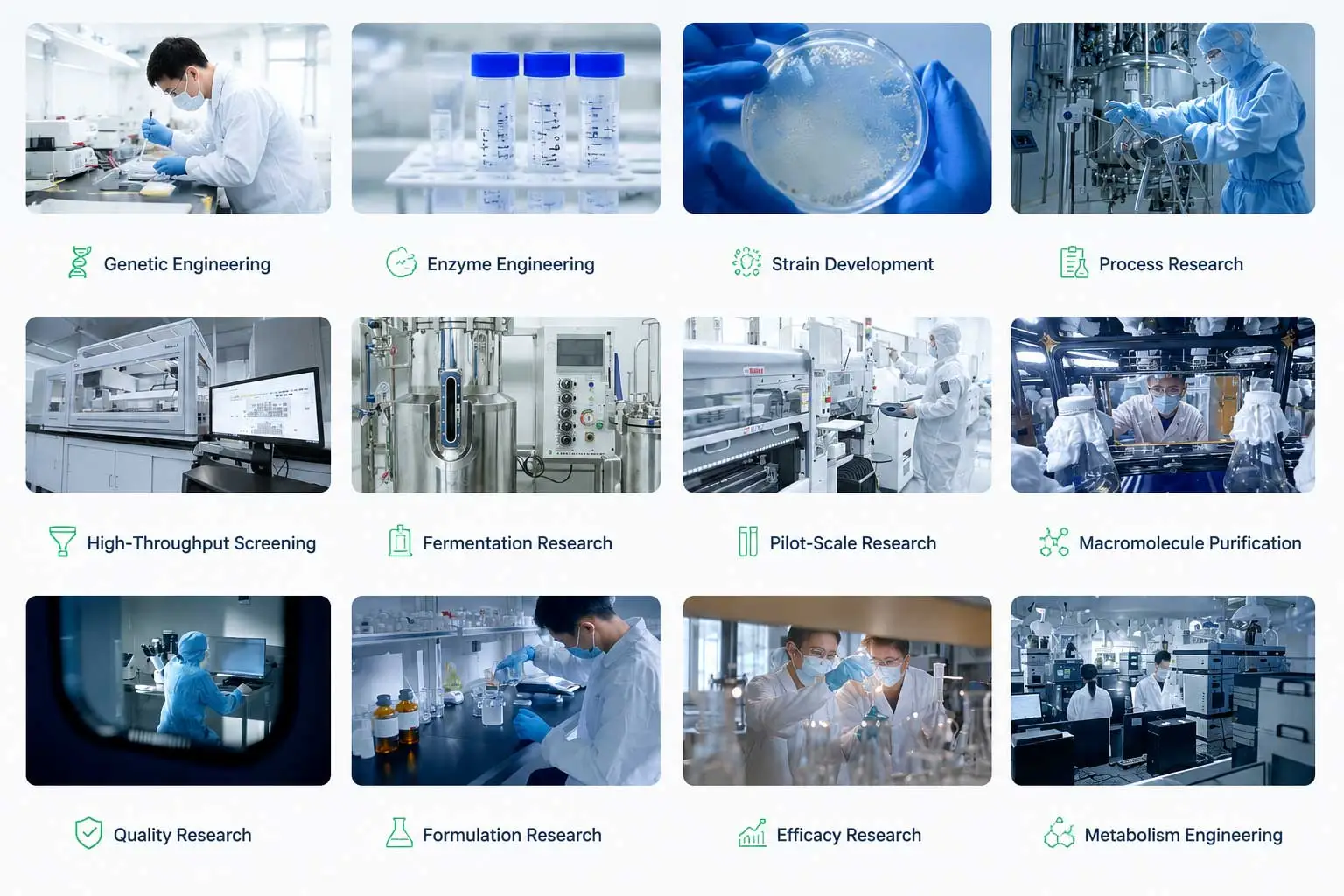 l-carnosine-gmp-manufacturer-production-facility-china-amino-acid-plant l-carnosine-gmp-manufacturer-production-facility-china-amino-acid-plant