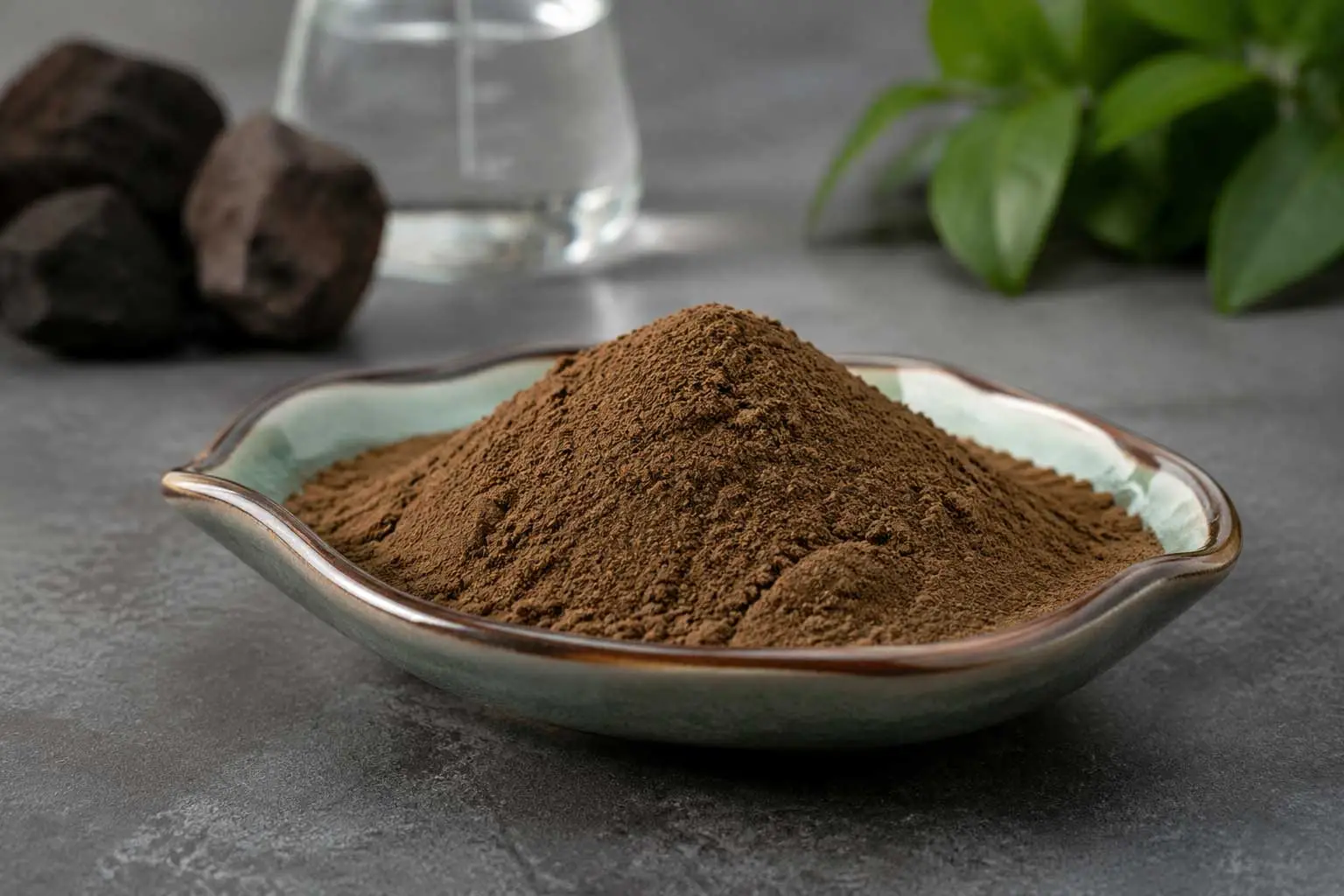Shilajit-Extract-Powder-supplier Shilajit-Extract-Powder-supplier